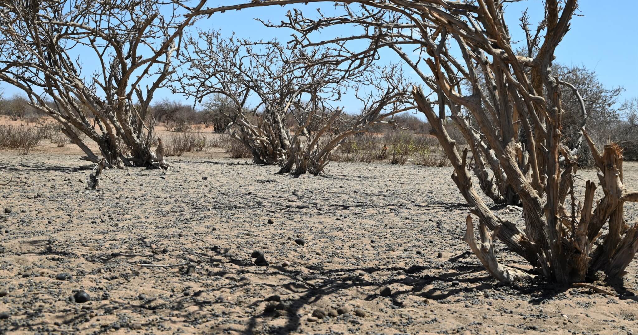 Forecasting Drought in Zimbabwe: Advances, Challenges, and Future Opportunities