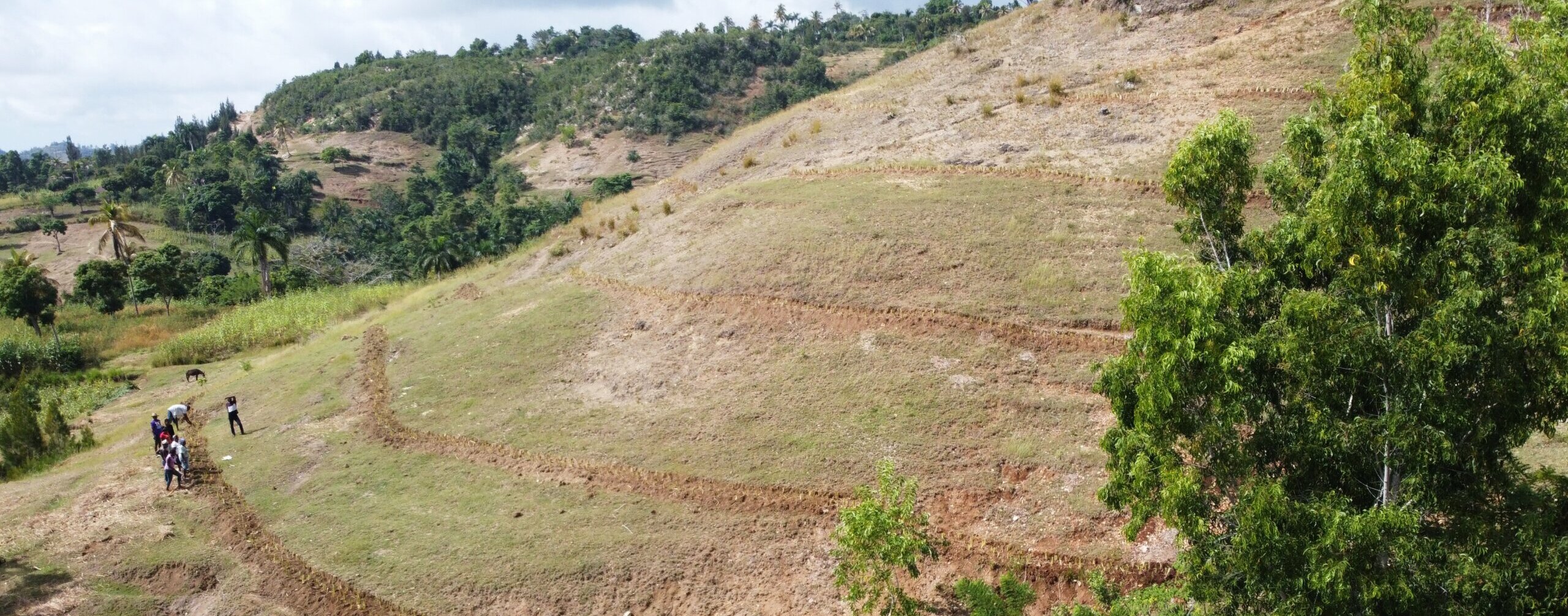 Site Suitability Analysis 510