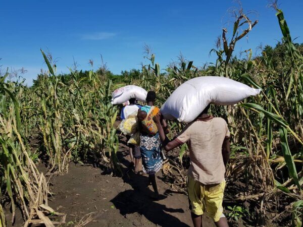 National Risk Watch: A Shared Platform to Scale Anticipatory Action