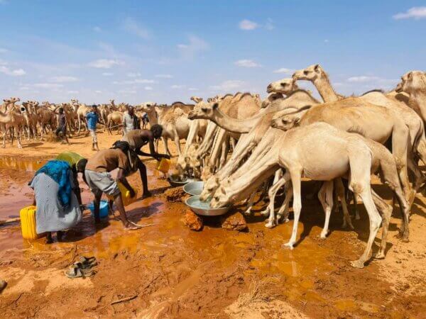 When Every Drop Counts: Water Point Mapping in Ethiopia