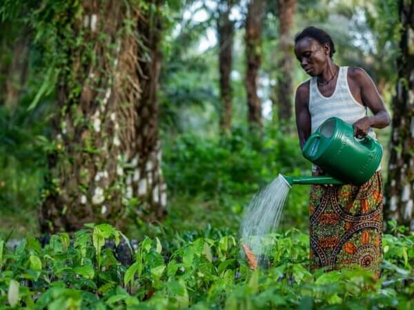 Seeing Stress Early: How Communities in Sierra Leone Manage Climate Risk